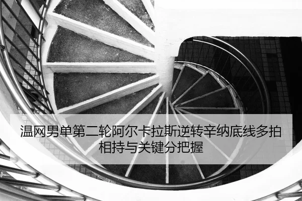 wen-wang-nan-dan-di-er-lun-a-er-ka-la-si-ni-zhuan-xin-na-di-xian-duo-pai-xiang-chi-yu-guan-jian-fen-ba-wo-2-609.jpg